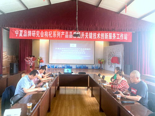 寧夏品牌研究會枸杞系列產(chǎn)品品質(zhì)提升關(guān)鍵技術(shù)創(chuàng)新服務(wù)工作站掛牌成立